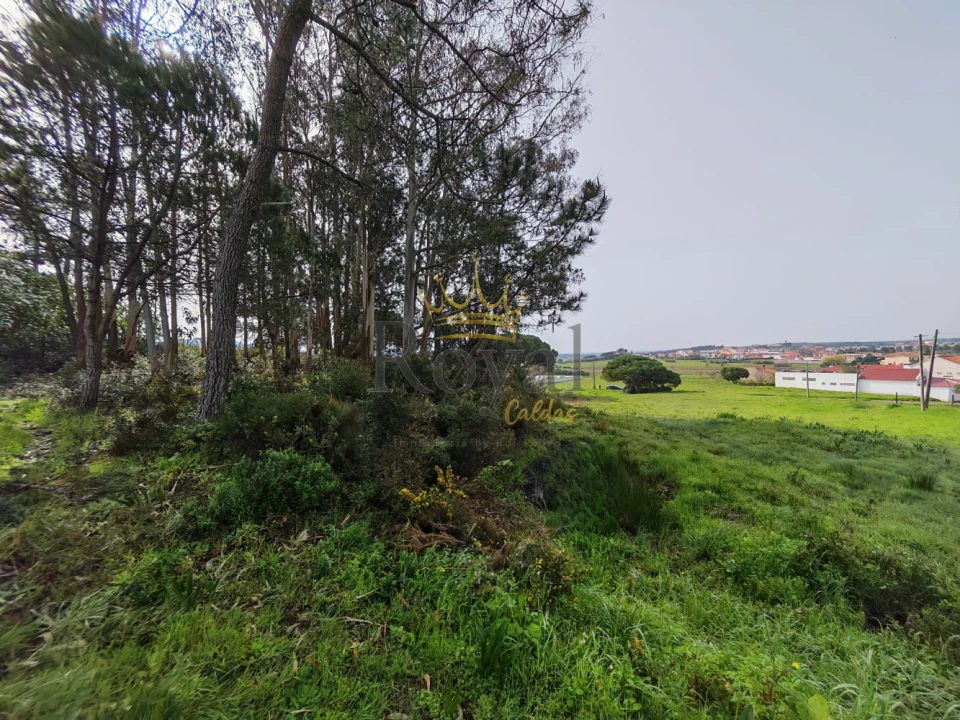 Terreno para Venda em Tornada e Salir do Porto Foto 3