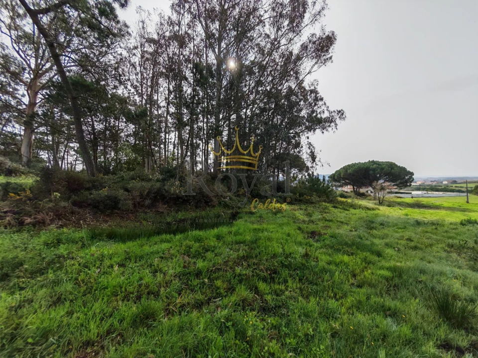 Terreno para Venda em Tornada e Salir do Porto Foto 5