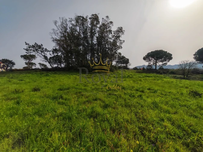 Terreno para Venda em Tornada e Salir do Porto Foto 1