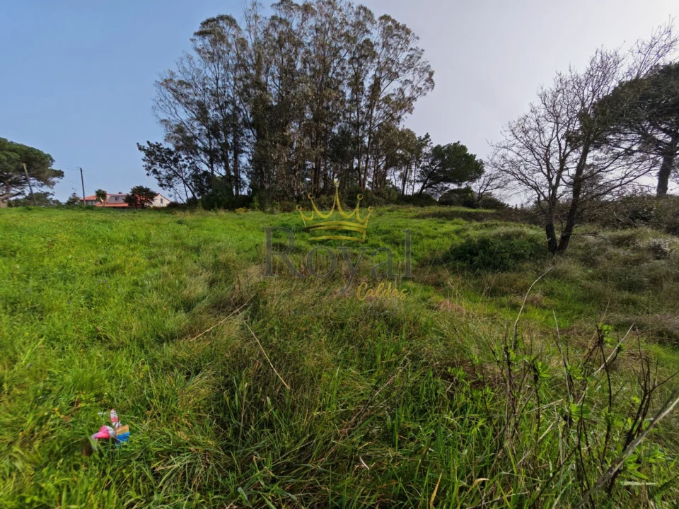 Terreno para Venda em Tornada e Salir do Porto Foto 2