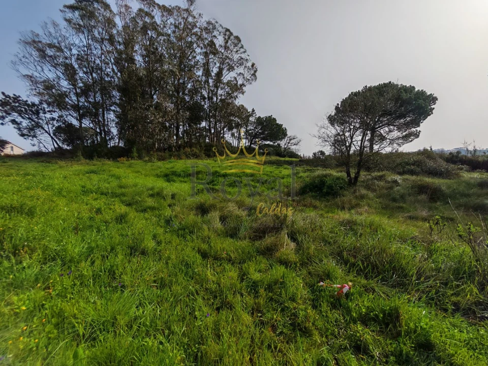 Terreno para Venda em Tornada e Salir do Porto Foto 6