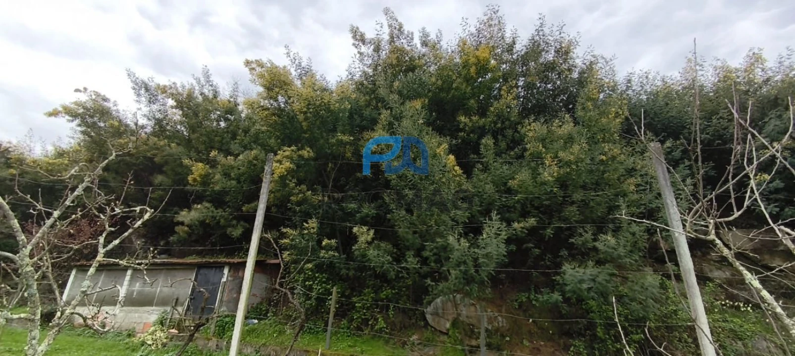 Terreno para Venda em Cinfães Foto 4