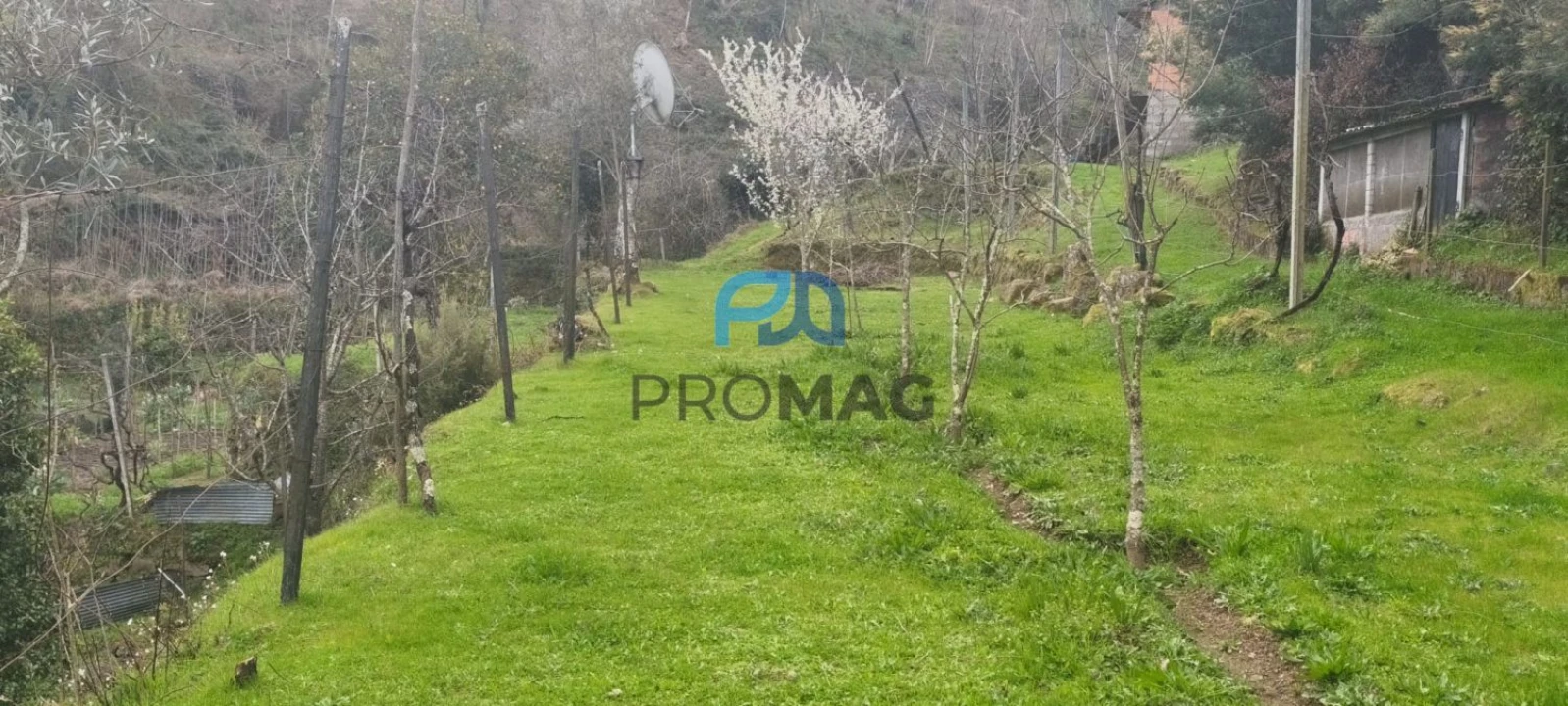 Terreno para Venda em Cinfães Foto 11