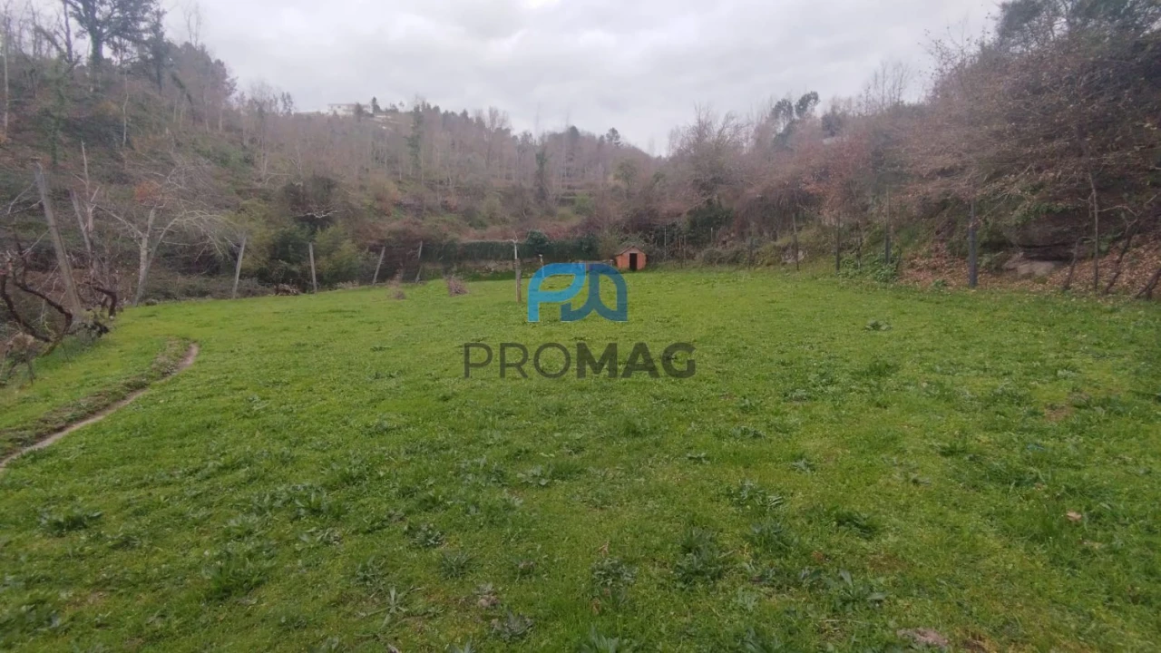 Terreno para Venda em Cinfães Foto 14