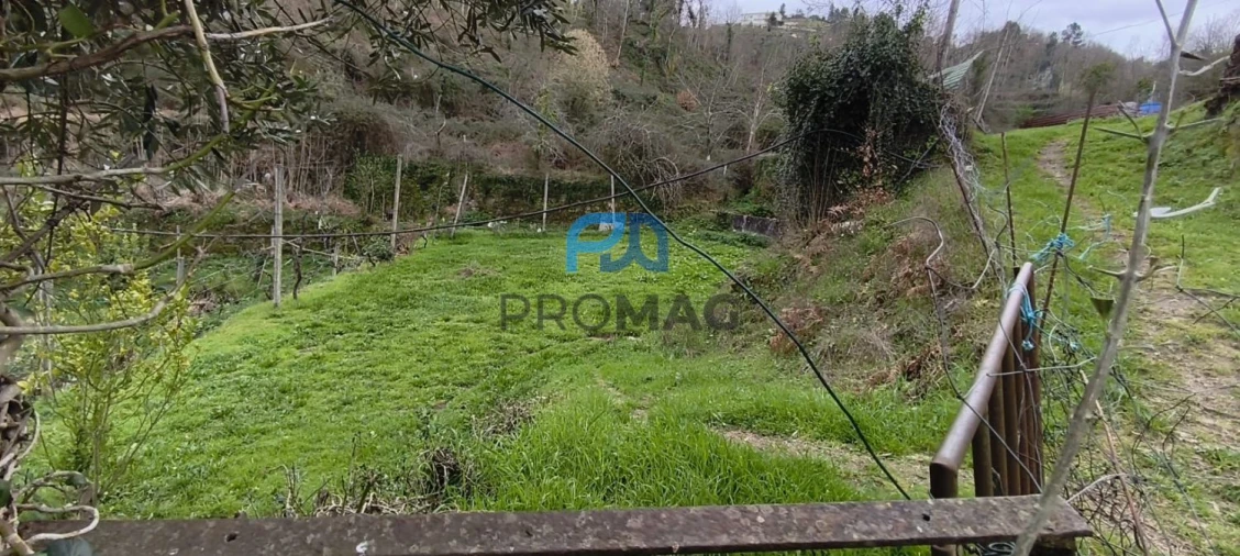 Terreno para Venda em Cinfães Foto 2