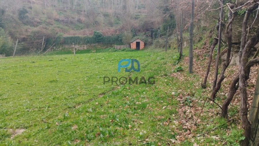 Terreno para Venda em Cinfães Foto 16
