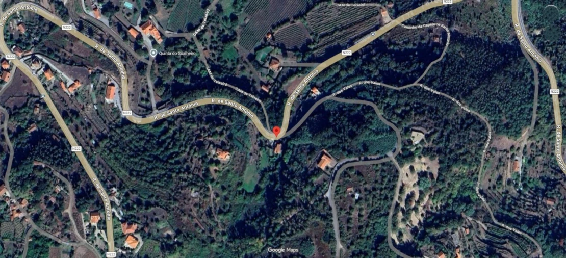 Terreno para Venda em Cinfães Foto 19