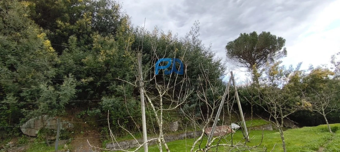 Terreno para Venda em Cinfães Foto 3