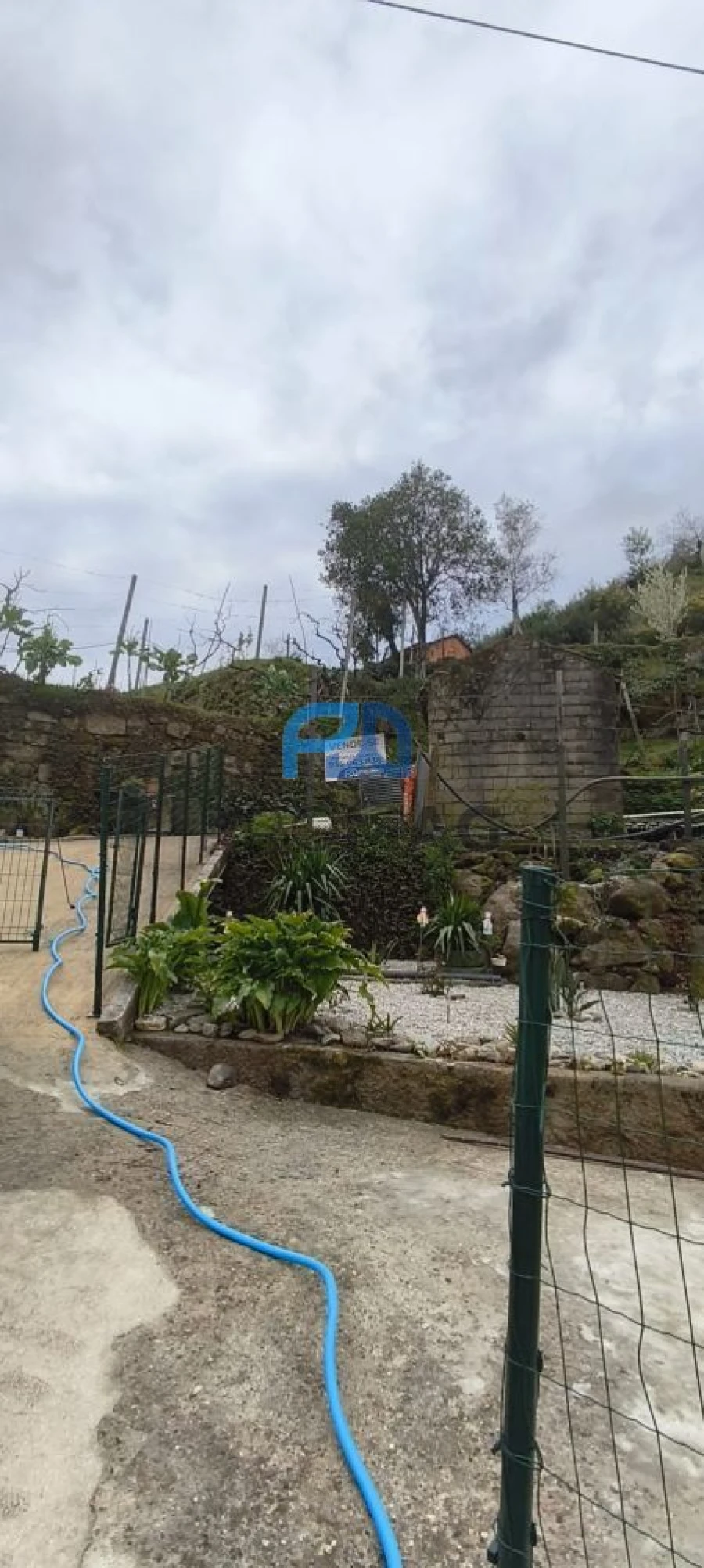 Terreno para Venda em Cinfães Foto 8