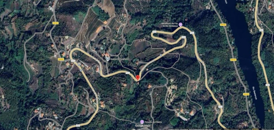 Terreno para Venda em Cinfães Foto 20