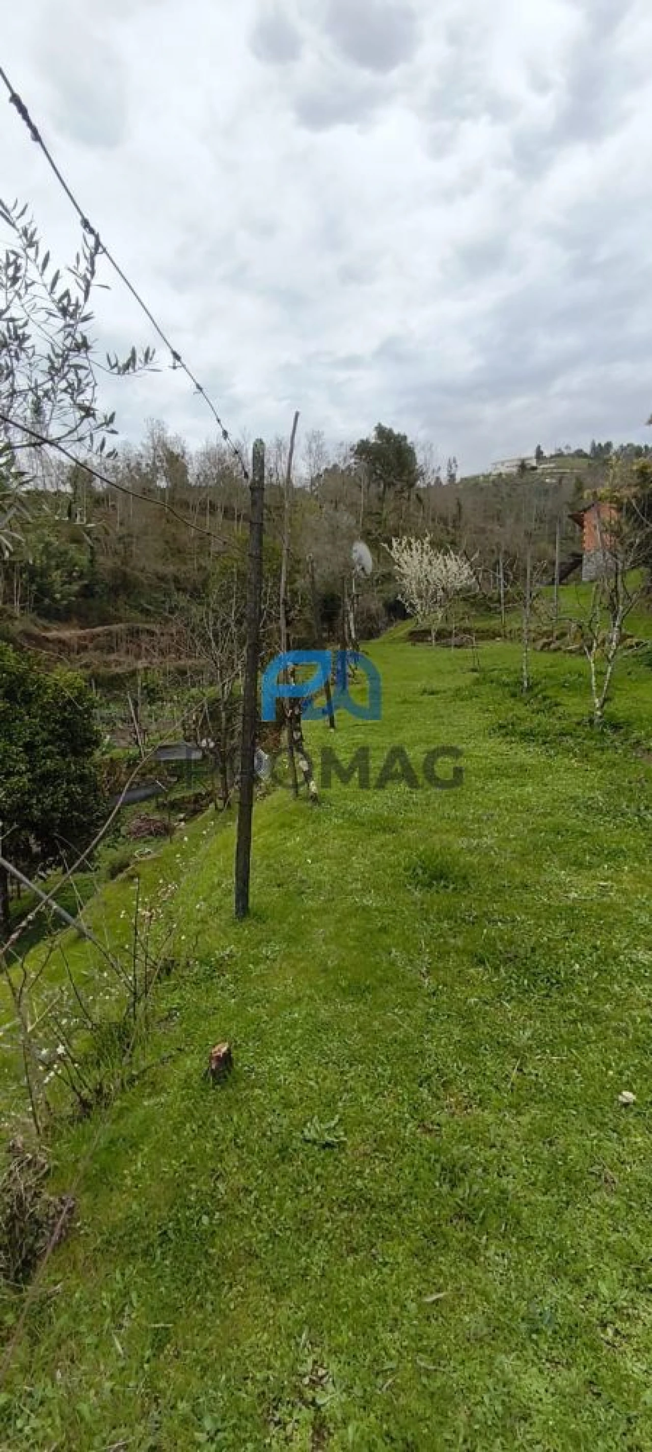 Terreno para Venda em Cinfães Foto 9