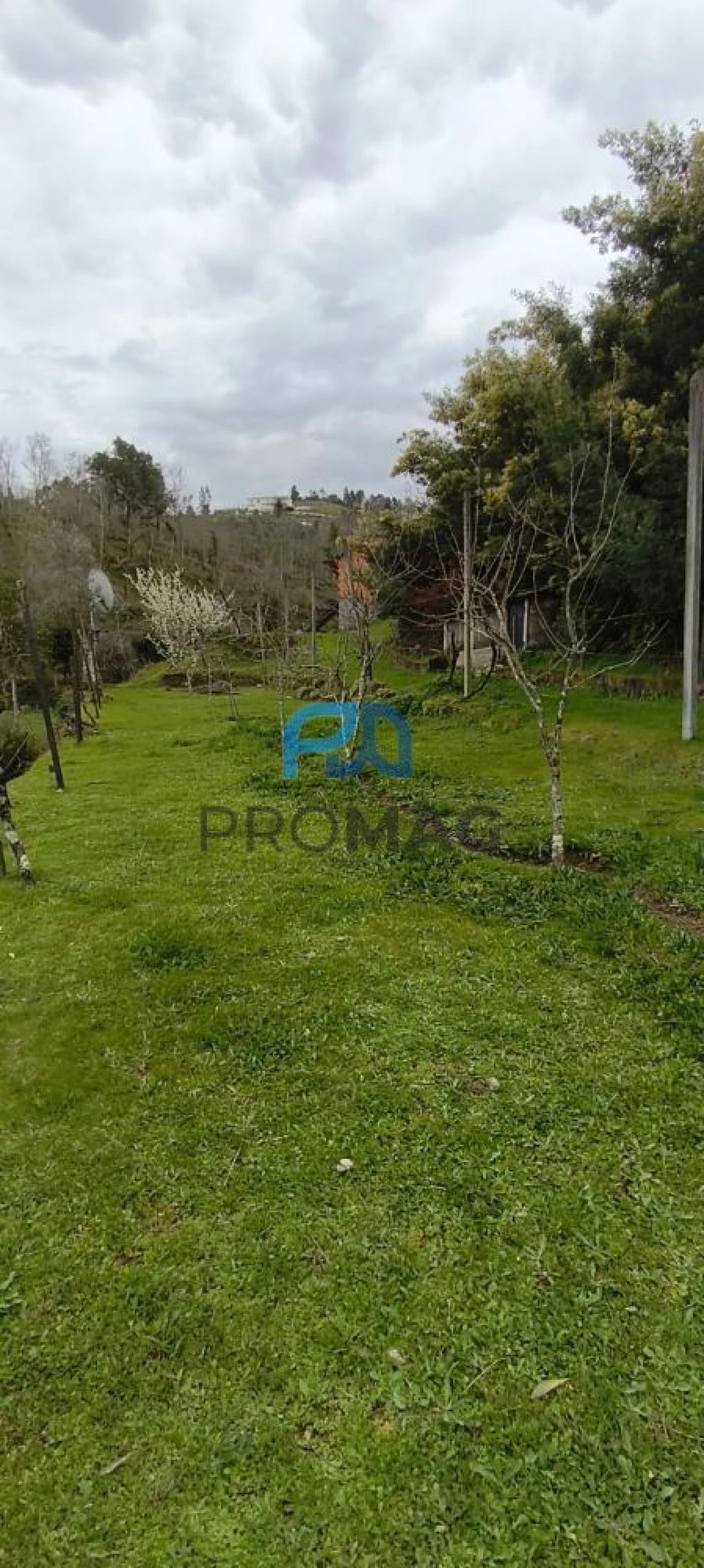 Terreno para Venda em Cinfães Foto 12