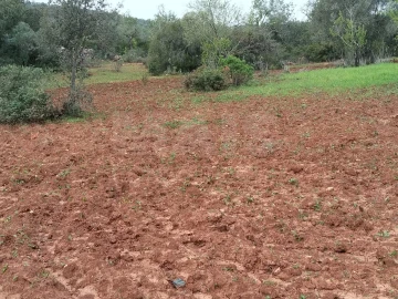 Terreno para Venda em Boliqueime