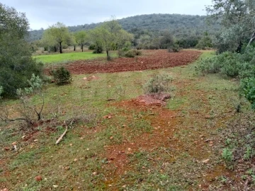Terreno para Venda em Boliqueime