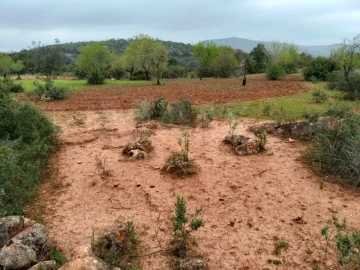 Terreno para Venda em Boliqueime