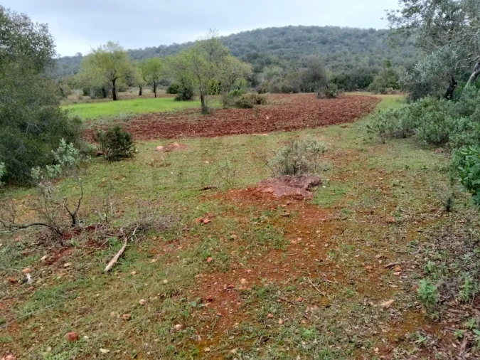 Terreno para Venda em Boliqueime Foto 3
