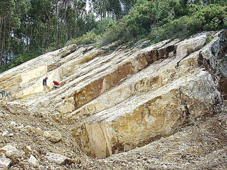 Terreno para Venda em Dois Portos e Runa Foto 6