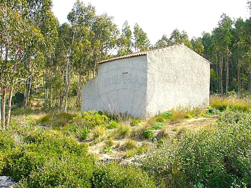 Terreno para Venda em Dois Portos e Runa Foto 2