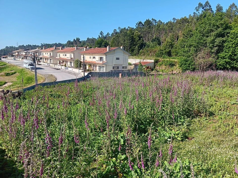 Terreno para Venda em Vila de Cucujães Foto 7
