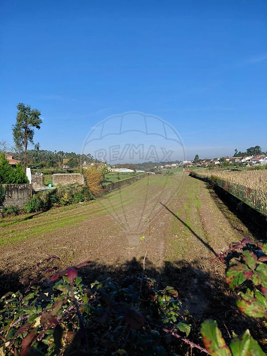 Terreno para Venda em Salreu