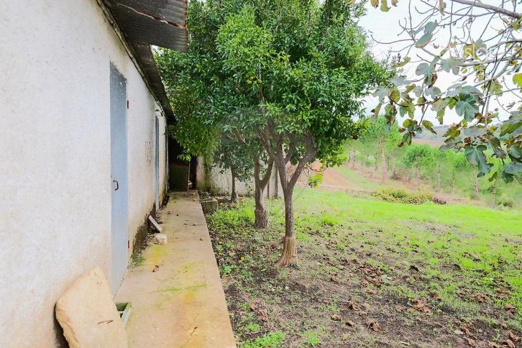 Moradia T3 para Venda em Aldeia Galega da Merceana e Aldeia Gavinha Foto 31