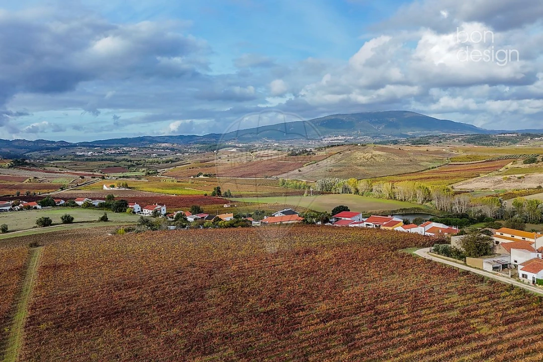 Moradia T3 para Venda em Aldeia Galega da Merceana e Aldeia Gavinha Foto 49