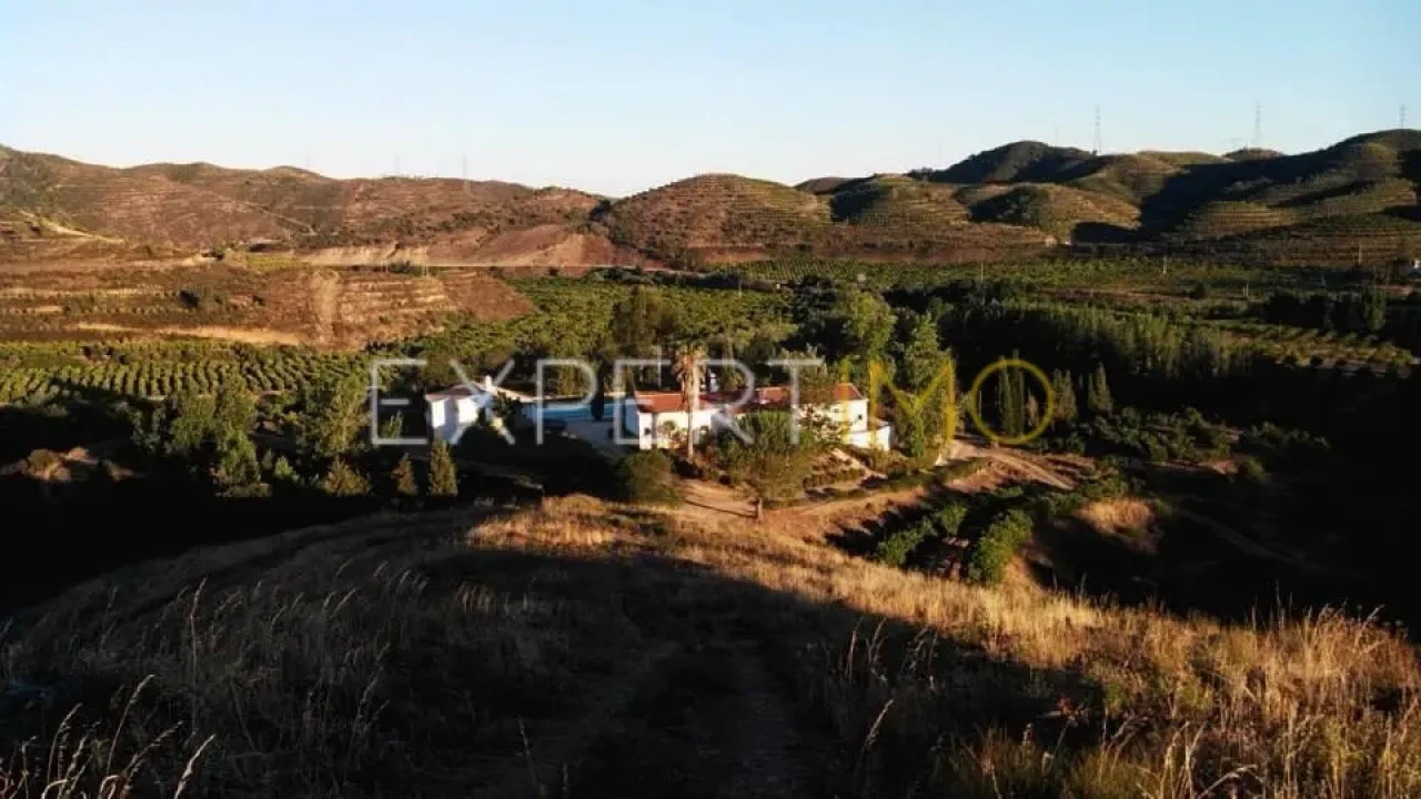 Quinta T16 para Venda em Alferce Foto 5