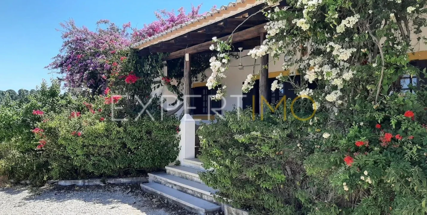 Quinta T16 para Venda em Alferce Foto 10