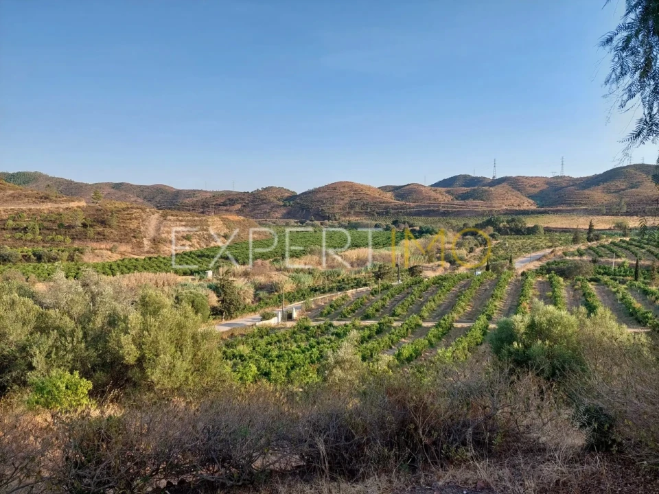 Quinta T16 para Venda em Alferce Foto 17