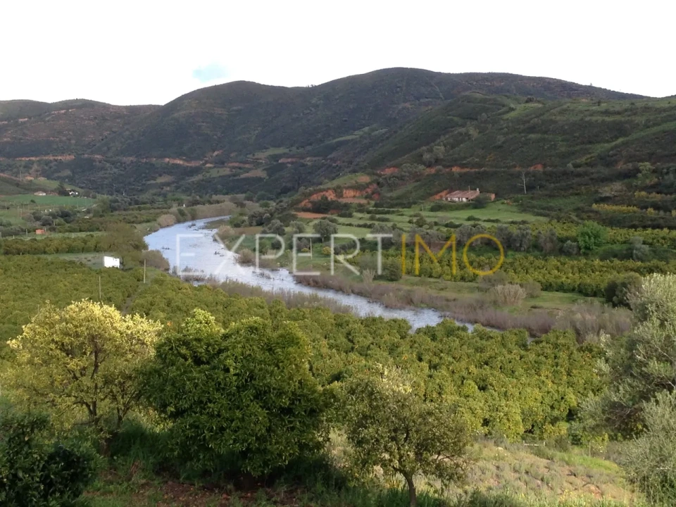 Quinta T16 para Venda em Alferce Foto 22