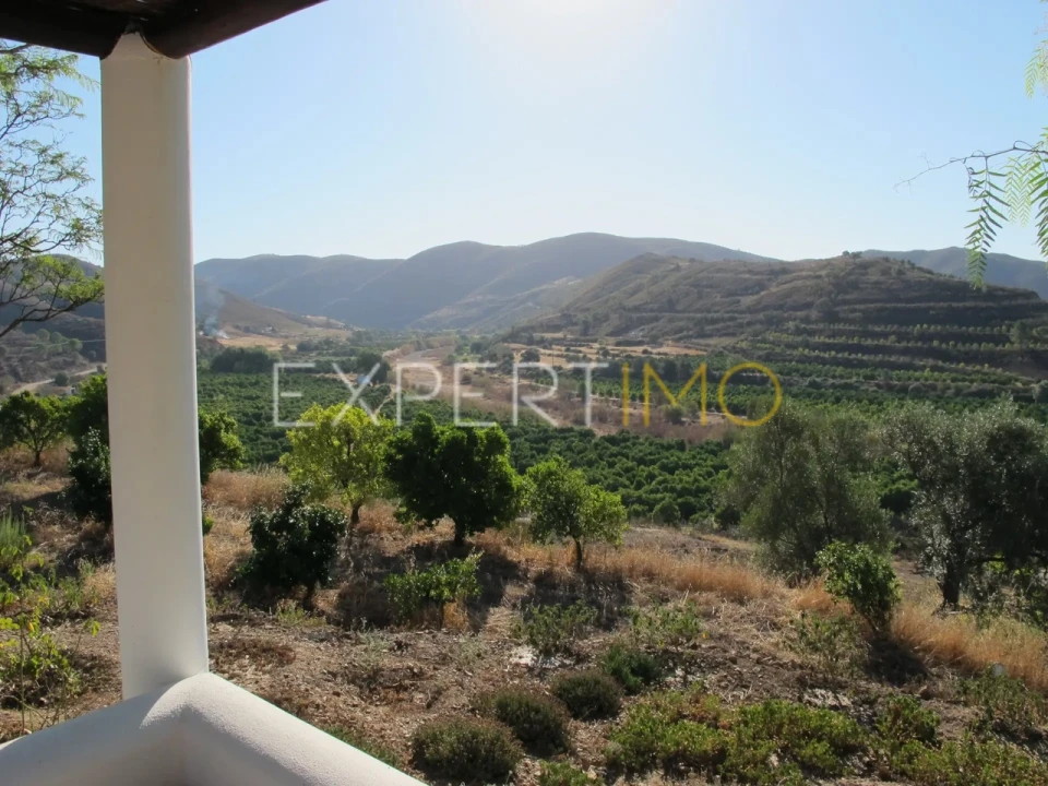 Quinta T16 para Venda em Alferce Foto 44