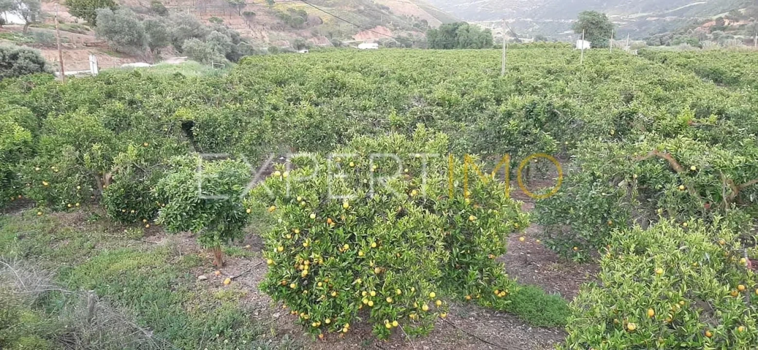 Quinta T16 para Venda em Alferce Foto 53