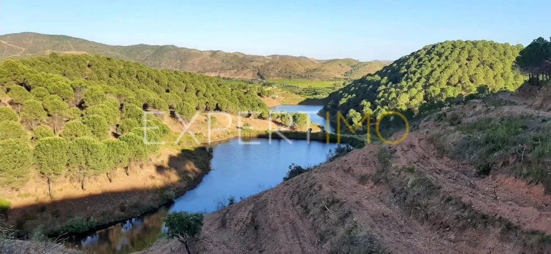 Quinta T16 para Venda em Alferce