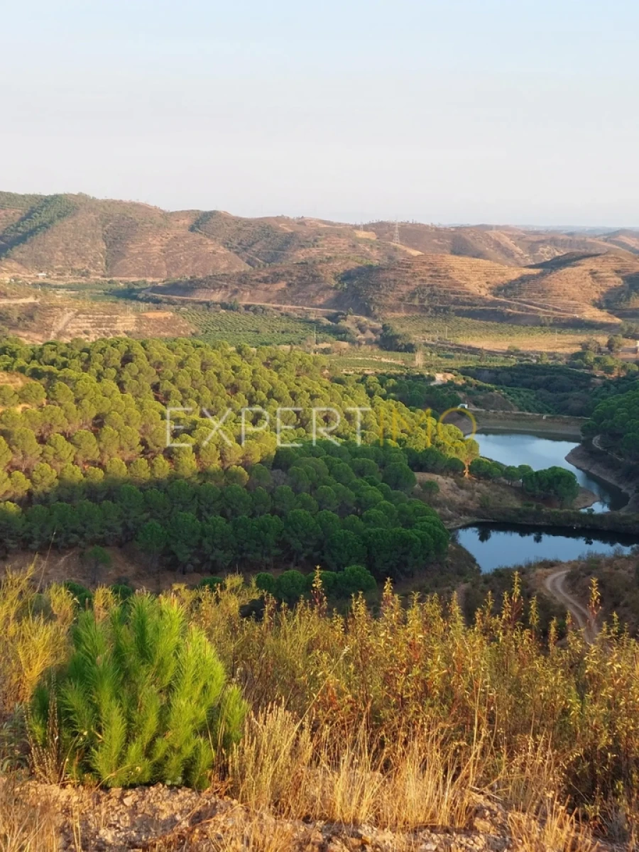 Quinta T16 para Venda em Alferce Foto 4
