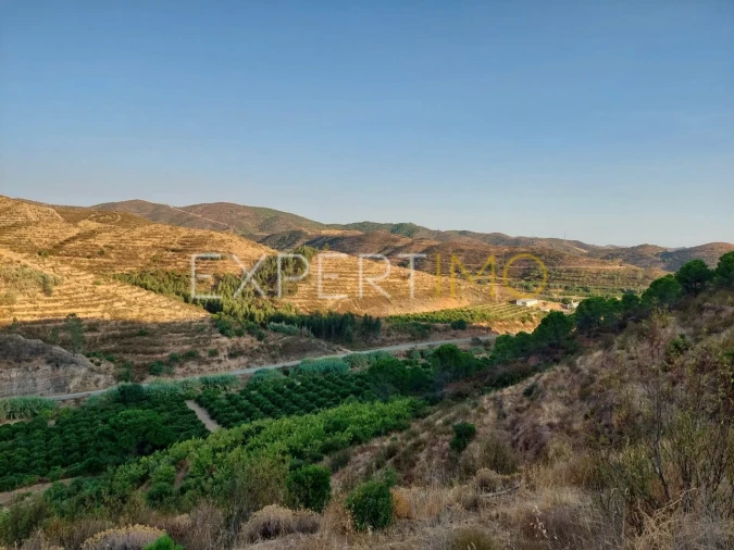 Quinta T16 para Venda em Alferce Foto 12