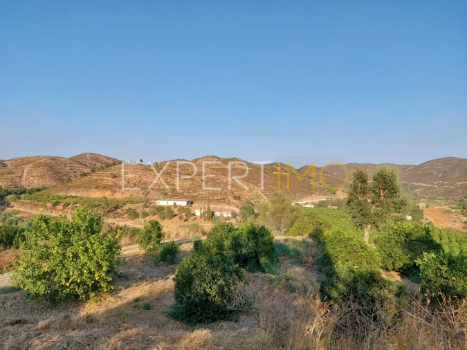 Quinta T16 para Venda em Alferce Foto 18