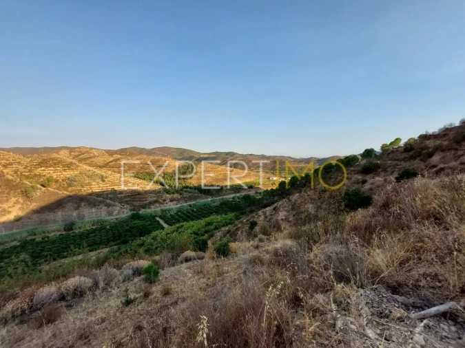 Quinta T16 para Venda em Alferce Foto 21