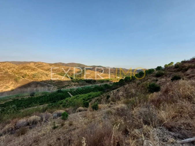 Quinta T16 para Venda em Alferce Foto 31