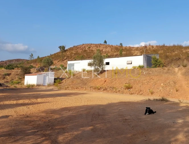 Quinta T16 para Venda em Alferce Foto 36