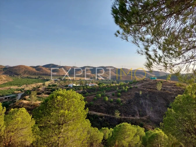 Quinta T16 para Venda em Alferce Foto 58