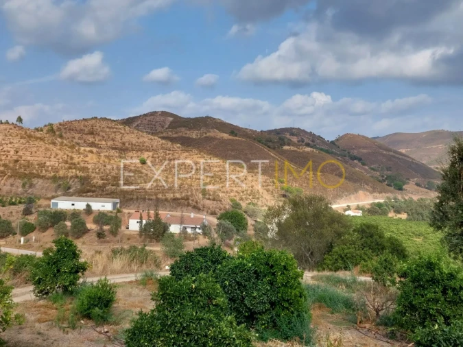 Quinta T16 para Venda em Alferce Foto 71