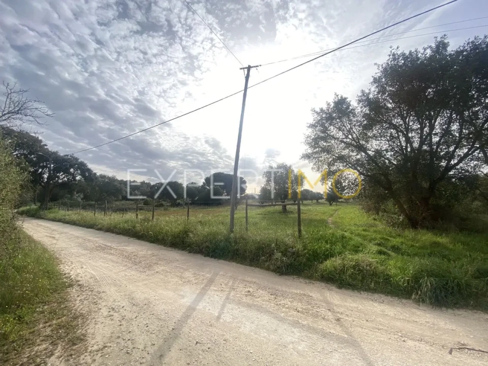 Quinta T3 para Venda em Vale de Santarem Foto 10