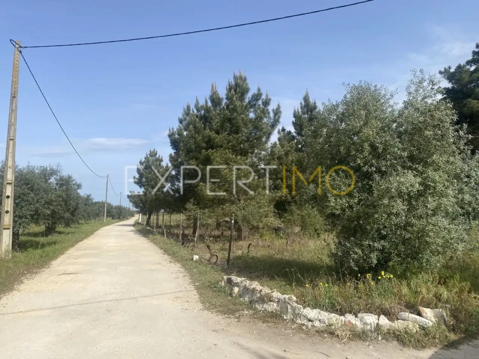 Quinta T3 para Venda em Vale de Santarem Foto 12