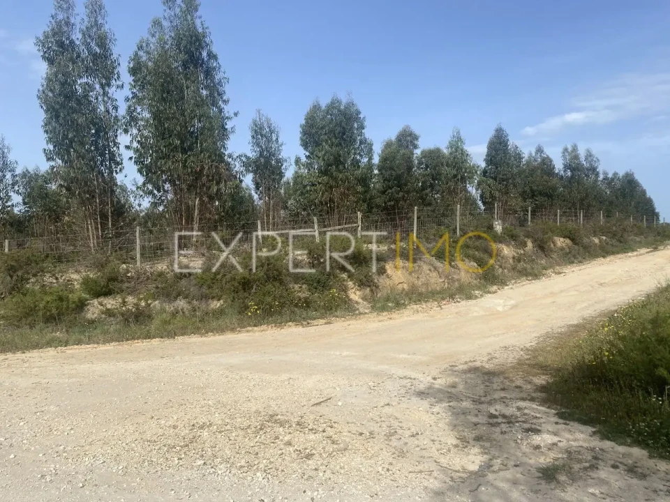 Quinta T3 para Venda em Vale de Santarem Foto 14