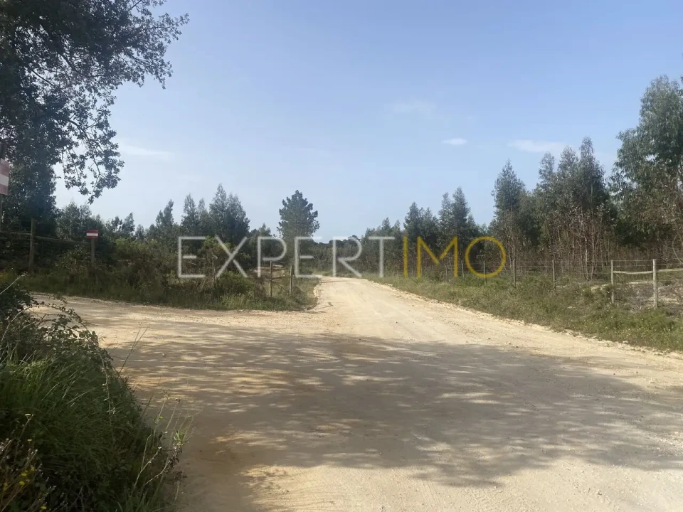 Quinta T3 para Venda em Vale de Santarem Foto 15