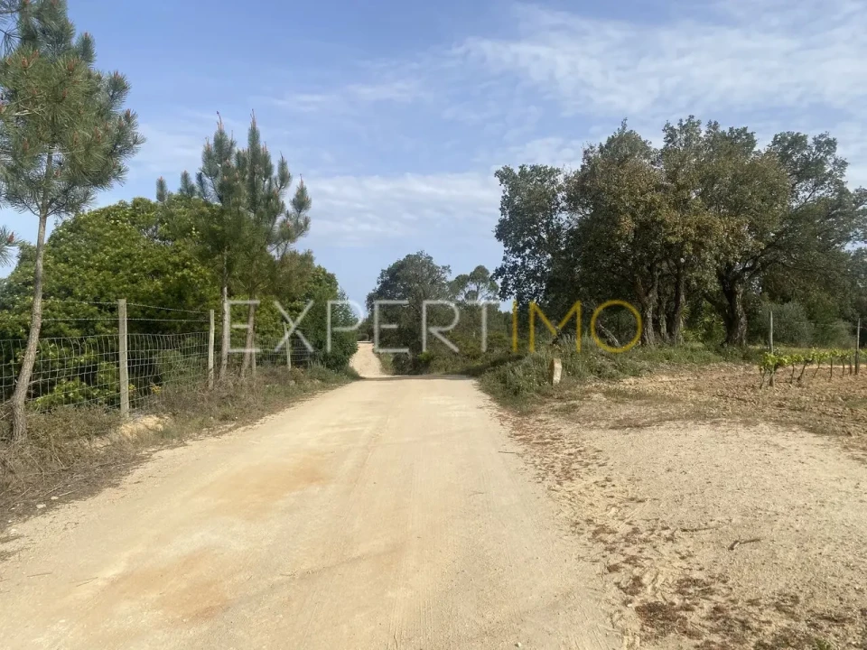 Quinta T3 para Venda em Vale de Santarem Foto 16