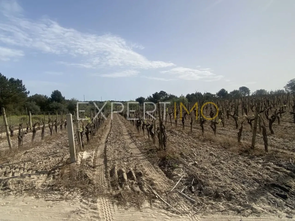 Quinta T3 para Venda em Vale de Santarem Foto 17