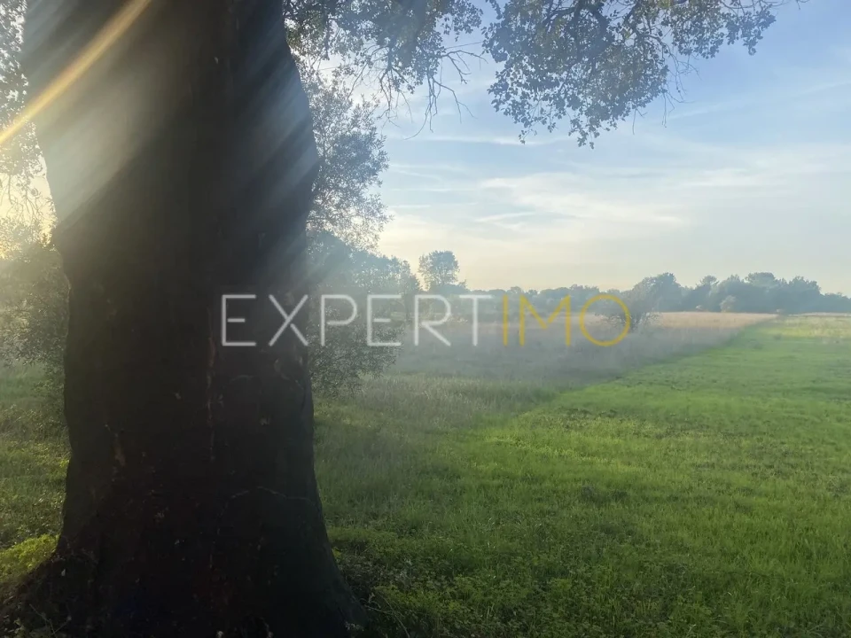 Quinta T3 para Venda em Vale de Santarem Foto 19