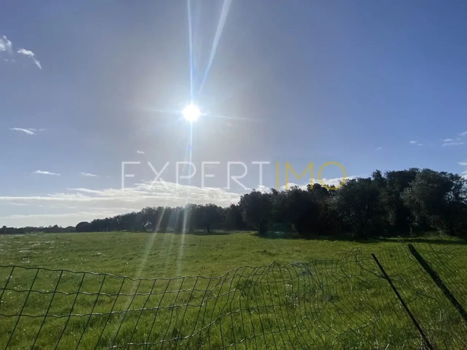 Quinta T3 para Venda em Vale de Santarem Foto 2