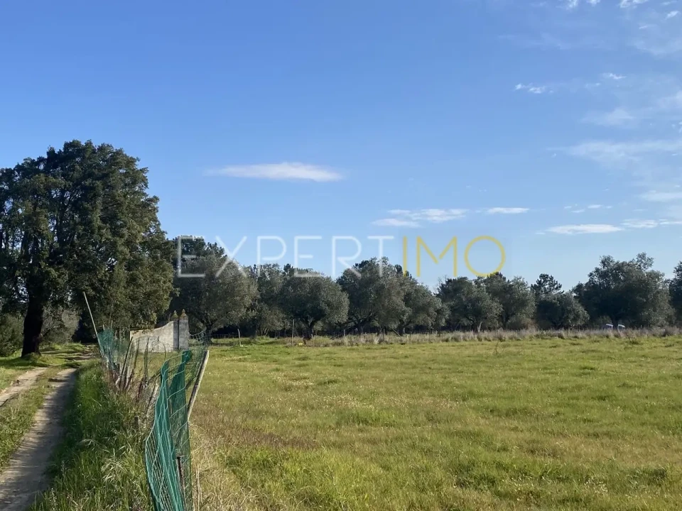 Quinta T3 para Venda em Vale de Santarem Foto 21